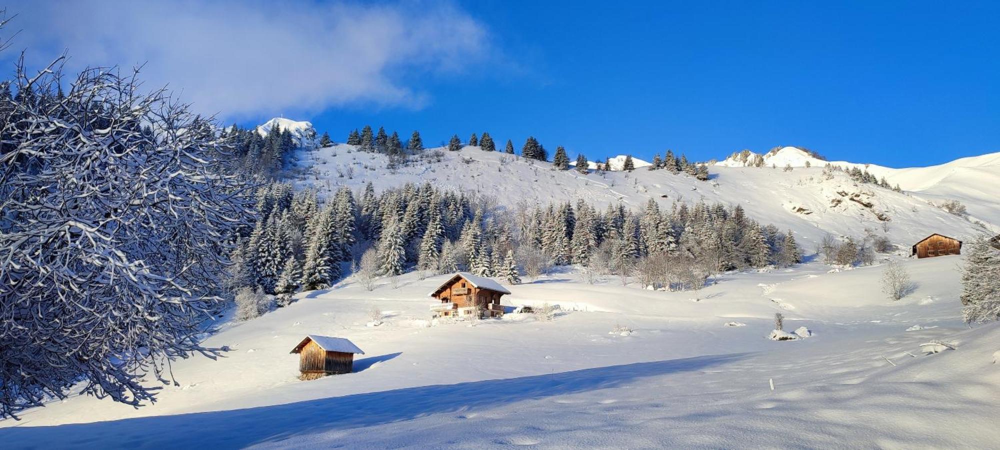 Le Taconet Le Praz de Lys Exterior foto
