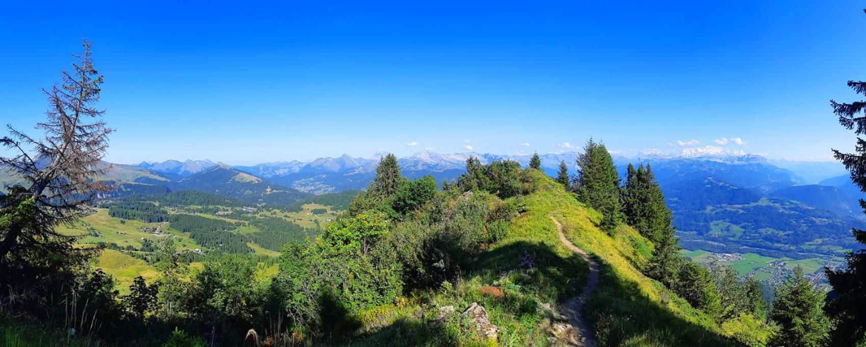 Le Taconet Le Praz de Lys Exterior foto
